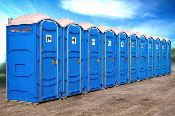 Types of Portable Toilets We Offer in Hallettsville, TX